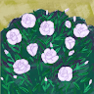 Meet your Posher, Adriana